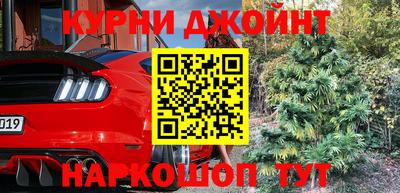 шишки Владимир