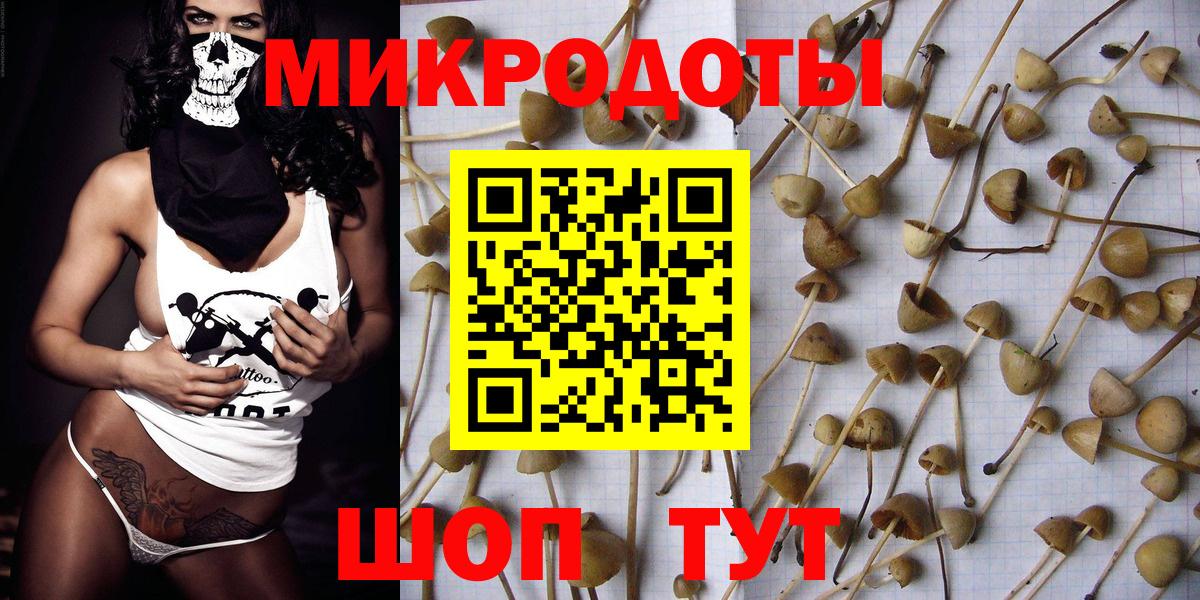 Галлюциногенные грибы Psilocybe Ижевск