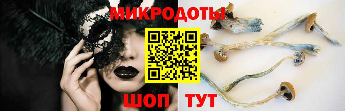 Псилоцибиновые грибы Magic Shrooms  Псилоцибиновые грибы Psilocybe  даркнет сайт  Вход с VPN  Ижевск 