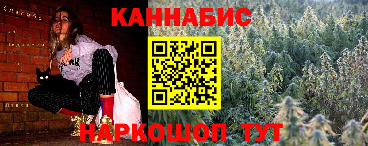 Шишки марихуана THC 21%  Вход с VPN  Ижевск  Канабис план  Марихуана сатива 